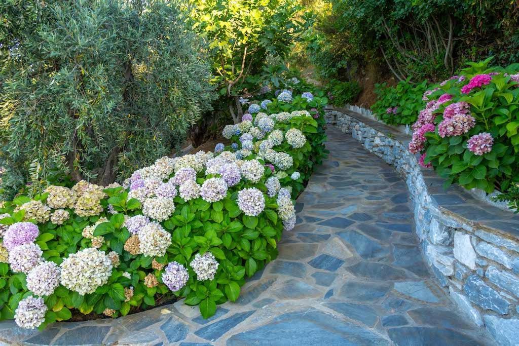 Barbarella Luxury Resort Άγιος Ιωάννης Εξωτερικό φωτογραφία